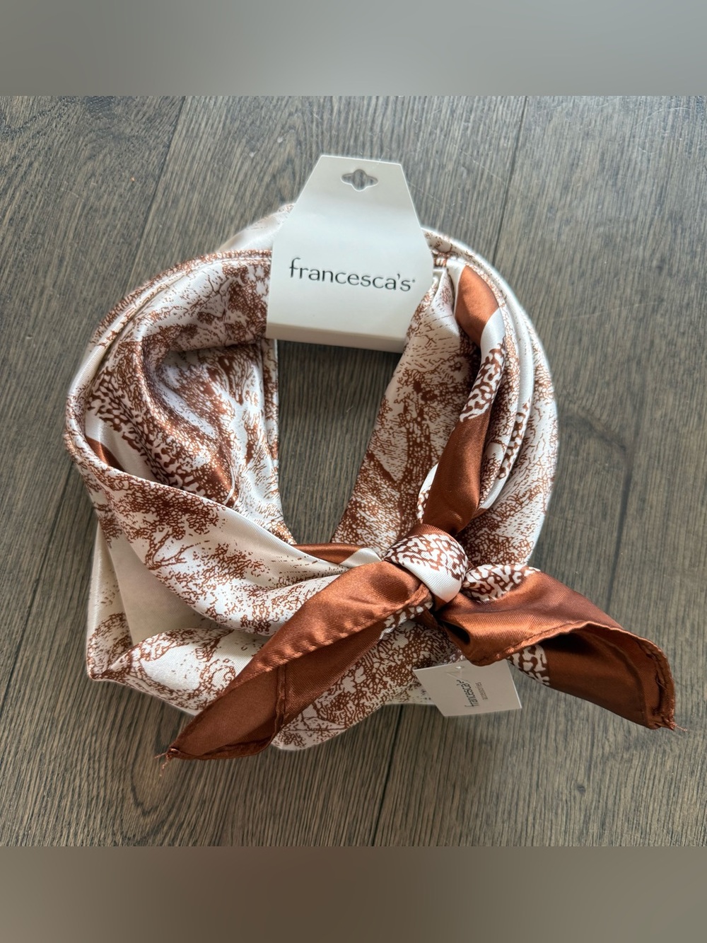 Francesca's Collections Rust and Cream Toile Satin Neck Scarf. NWT